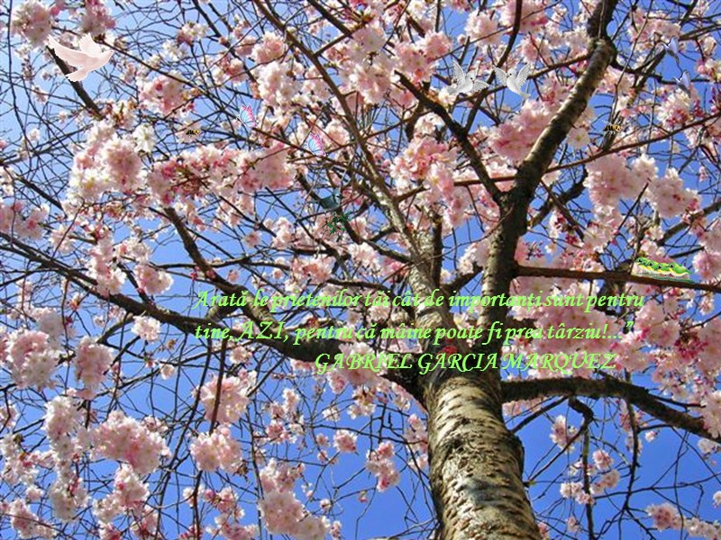 Arată-le prietenilor tăi cât de importanţi sunt pentru tine, AZI, pentru că mâine poate